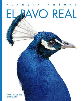 El Pavo Real foto