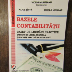 Bazele contabilității. Caiet de lucrări practice - Victor Munteanu (coord.)