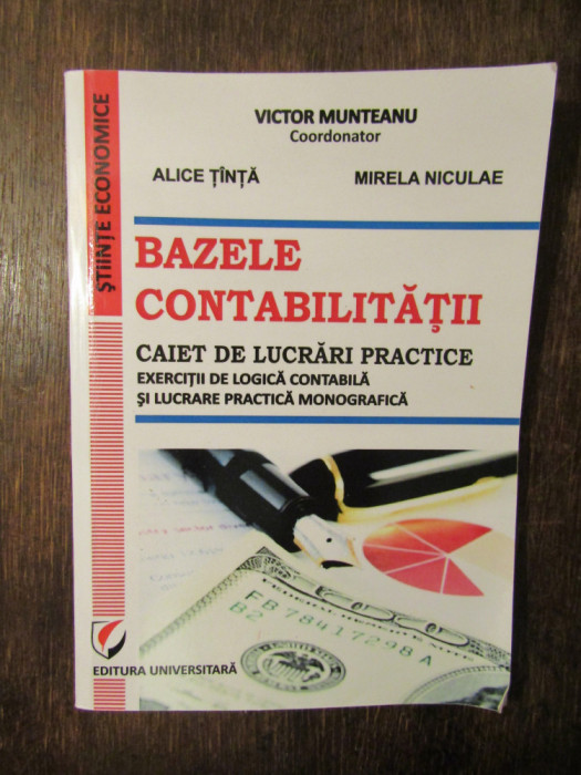 Bazele contabilității. Caiet de lucrări practice - Victor Munteanu (coord.)