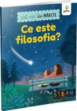 Cumpara ieftin Ce este filosofia? Carti mici, idei marete/***