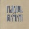 Flacaul din Bintinti