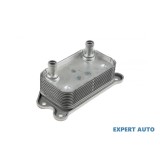 Termoflot Volvo C30 (2006-2013)[533] #1