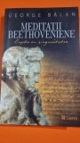 Meditatii Beethoveniene - George Balan
