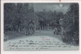 Carte postala circulata in anul 1904 Targu-Neamt