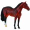 Armasar hanoverian - collecta