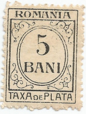 Romania, LP IV.12/1920, Taxa de plata, h. alba, fara filigran, eroare, MNH foto