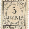 Romania, LP IV.12/1920, Taxa de plata, h. alba, fara filigran, eroare, MNH