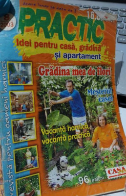 Revista PRACTIC IDEI pentru casă, grădină și apartament - august 2003 foto