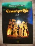 Drumul spre Efes - Vasile Popa Homiceanu