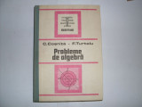 Probleme De Algebra - C. Cosniuta, F. Turtoiu ,552275, Tehnica