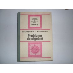Probleme De Algebra - C. Cosniuta, F. Turtoiu , 20900