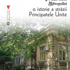 Pe sub nucii Mitropoliei. O istorie a Străzii Principatele Unite