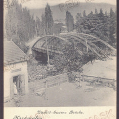 4997 - CARANSEBES, Timis, Bridge, Litho, Romania - old postcard - used - 1902
