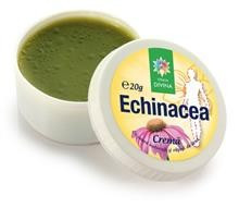 Crema Echinaceea Santo Raphael 20gr Cod: 4055 foto