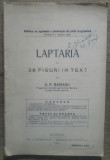 Laptaria - S.P. Radianu// 1909