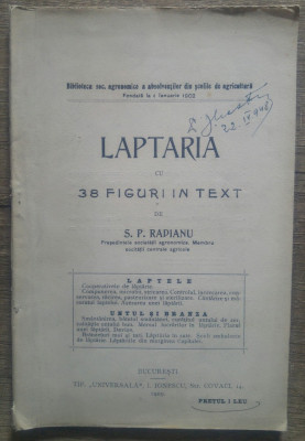 Laptaria - S.P. Radianu// 1909 foto