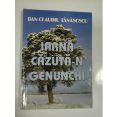 IARNA CAZUTA-N GENUNCHI - DAN CLAUDIU TANASESCU - ( autograf si dedicatie )