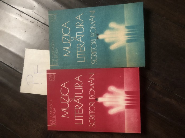 Muzica si literatura - Scriitori romani Pf