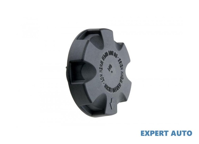 Capac radiator BMW X6 (2008->) [E71, E72] #1