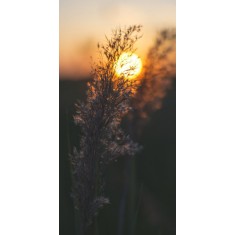 Husa Personalizata LG G4 Field
