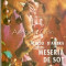 Meseria De Sot. Roman - Lucio D&#039;Ambra