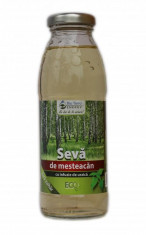 Seva de Mesteacan Bio cu Infuzie de Urzica Dietetic Bio Terra Energy 300ml foto