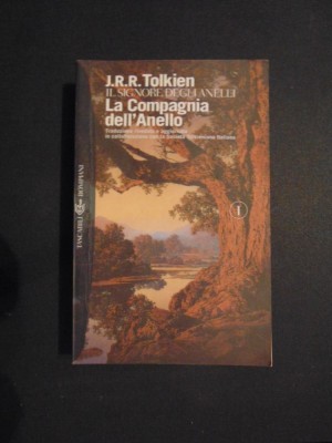La compagnia dell Anello foto