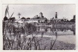 bnk cp Manastirea Cernica - Vedere - necirculata