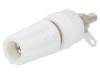 Soclu Banană 4mm 15A 250VDC Alb Nichelat Panou, CLIFF