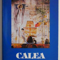 Calea sperantei – Simon Wiesenthal