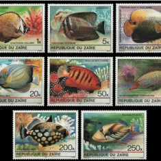 ZAIR 1980 - Fauna, Pesti tropicali / serie completa + bloc MNH