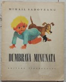 Dumbrava minunata - Mihail Sadoveanu// ilustratii Coca Cretoiu