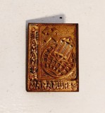 Insigna MINERIT - DIAMANT de MARAMURES, anii 70