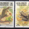 DB1 Fauna Marina Ins. Solomon 1982 Reptile Soparla Broasca 2 v. MNH