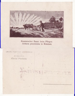 Tipuri din Romania- La arat foto