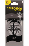 Odorizant California Scents&reg; Palms Ice AMT34-024