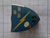 Insigna batalionul 45 comunicatii