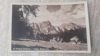 Poiana Tapului - Valea urlatoare. foto