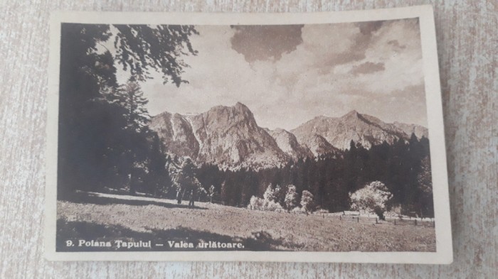 Poiana Tapului - Valea urlatoare.