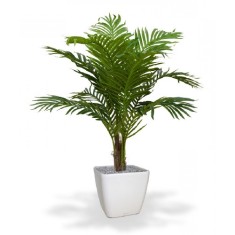 Areca palmier artificial H100 foto