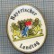AX 264 INSIGNA - BAYERISCHER LANDTAG -PARLAMENTUL LANDULUI BAVARIA -GERMANIA
