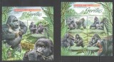 UGANDA 2012 FAUNA MAIMUTE GORILE