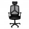 icon 2