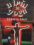 Y. Chateau Jobert - A trai in yoga (1993)