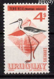 URUGUAY 1970, Fauna - Pasari, serie neuzata, MNH, Nestampilat