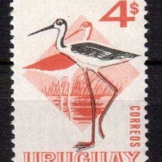 URUGUAY 1970, Fauna - Pasari, serie neuzata, MNH