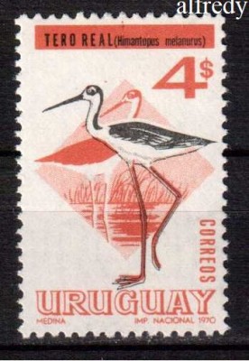 URUGUAY 1970, Fauna - Pasari, serie neuzata, MNH foto