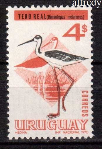 URUGUAY 1970, Fauna - Pasari, serie neuzata, MNH