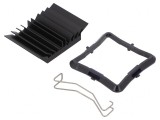 Radiator BGA Negru cu Aripioare 31x31mm