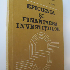 Eficienta si finantarea investitiilor - I. Cistelecan , A. Nicolae